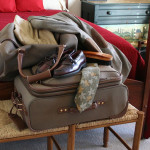 luggage-22901_640