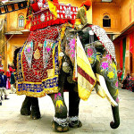 640px-Decorated_Indian_elephant
