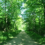 image004