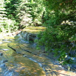 image006