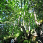 image010