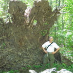 image022