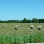 image063